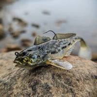 Westin Gunnar The Goby RTF
